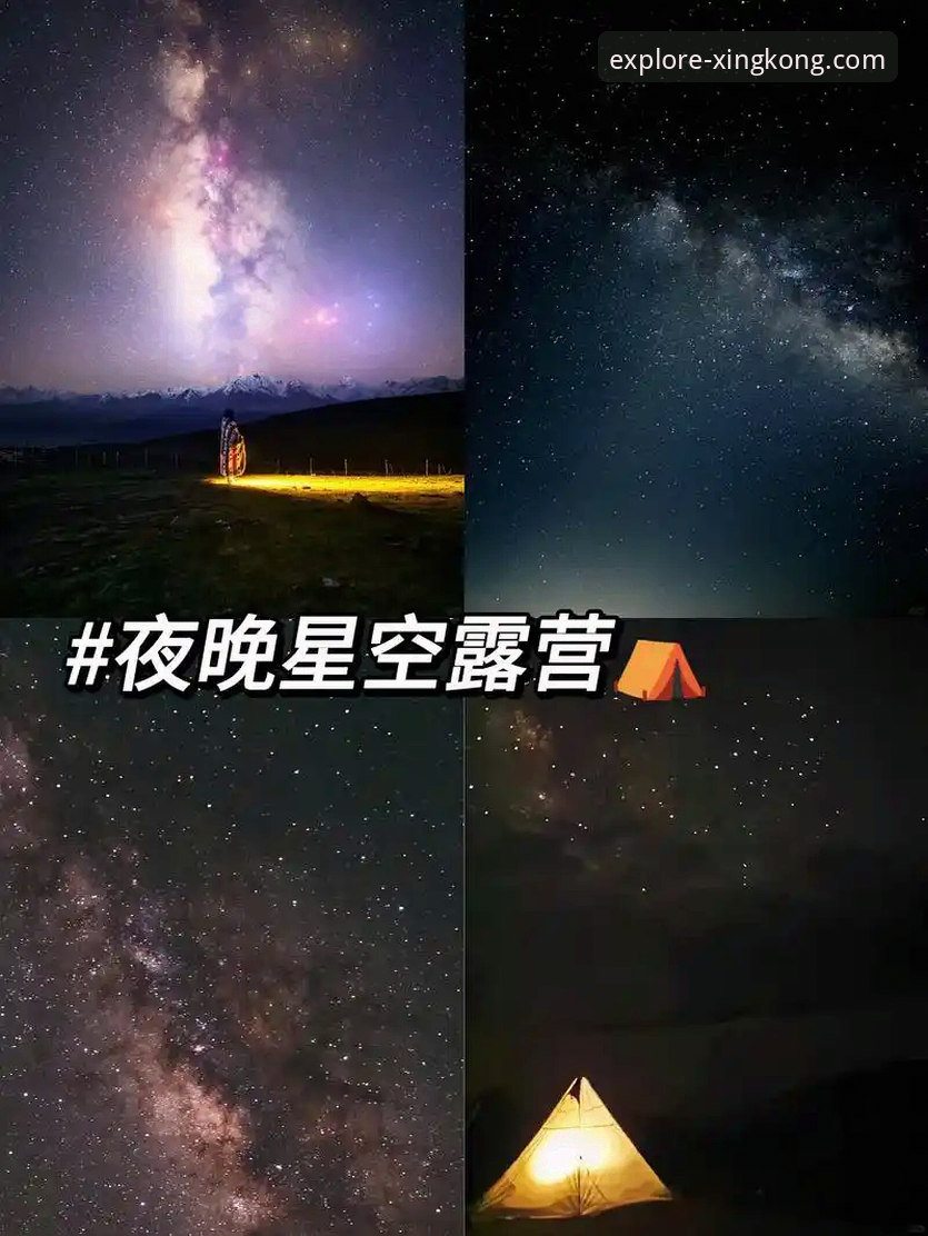 揭秘上海男篮12连胜背后的战术“星空探索攻略”